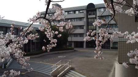 校舎と桜